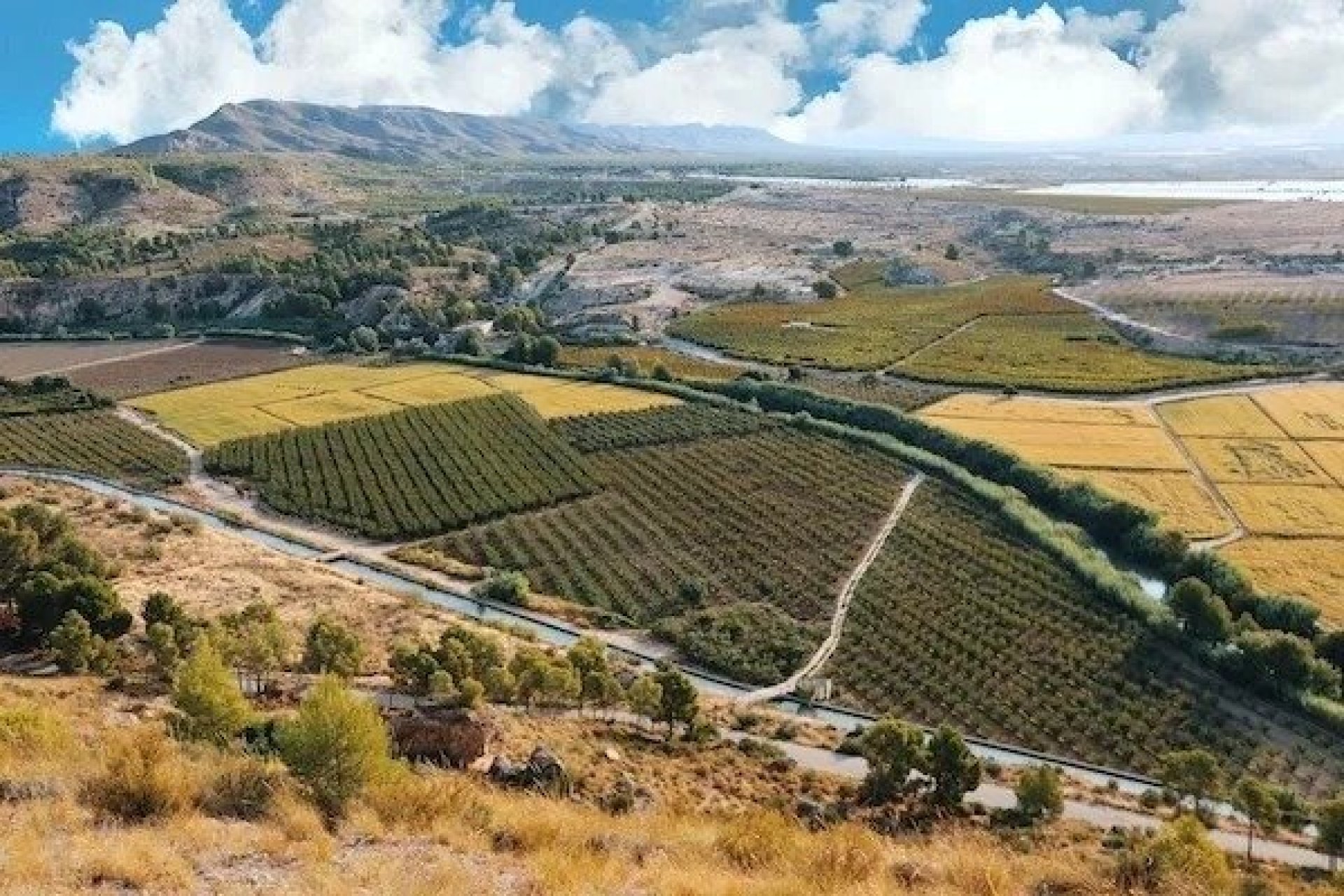 Rynek Pierwotny - Villa - Calasparra