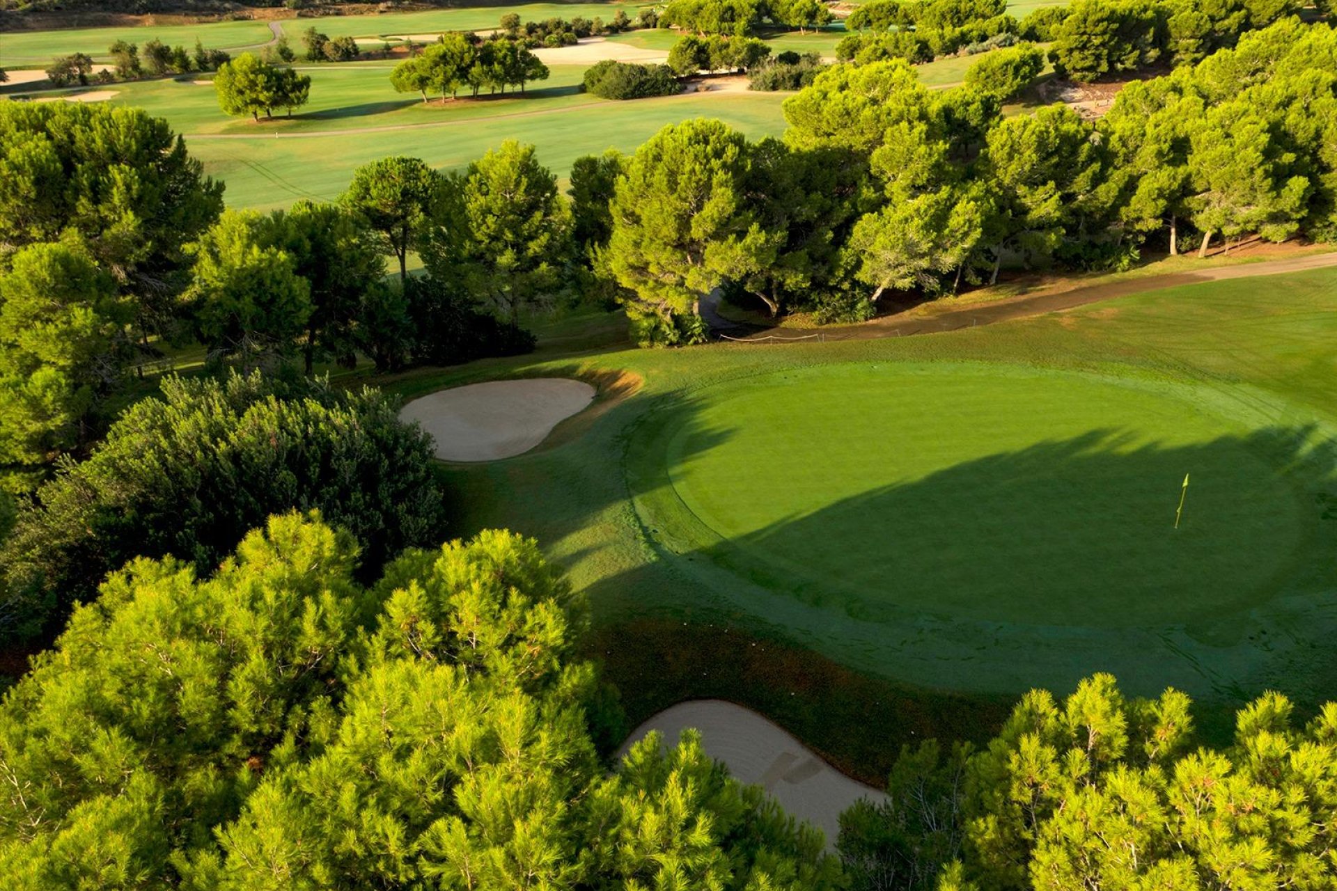 Rynek Pierwotny - Villa - Pilar de la Horadada - Lo Romero Golf