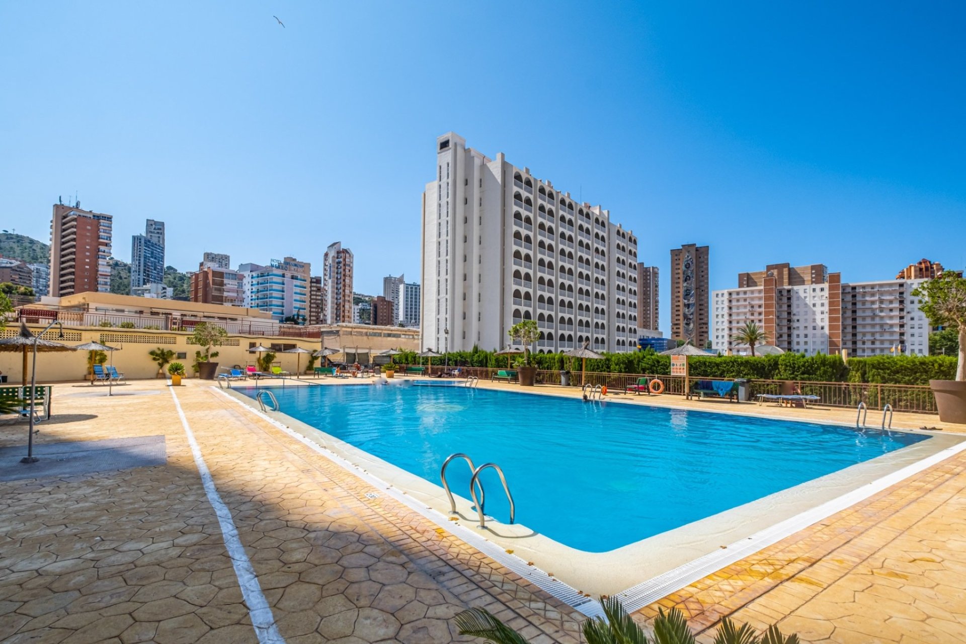 Swimming Pool - Apartment TAPE F with sea views and tourist license in Benidorm - Levante (Costa Blanca - Alicante)