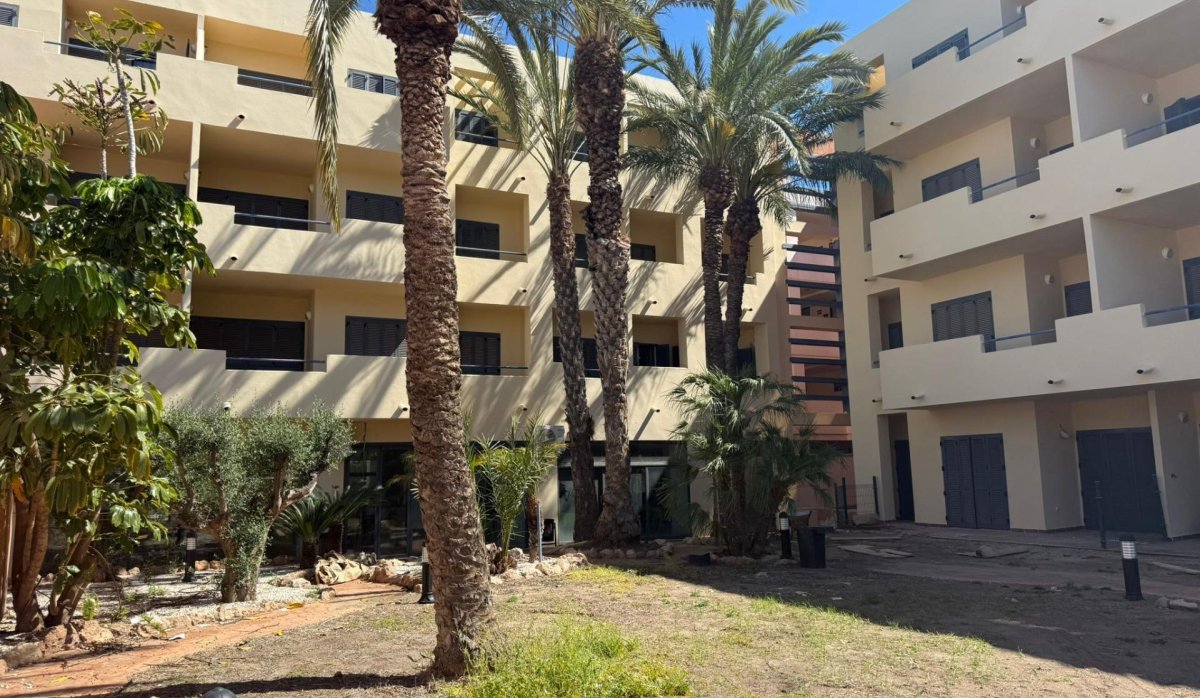 Obra nueva - Apartamento / piso - Vera