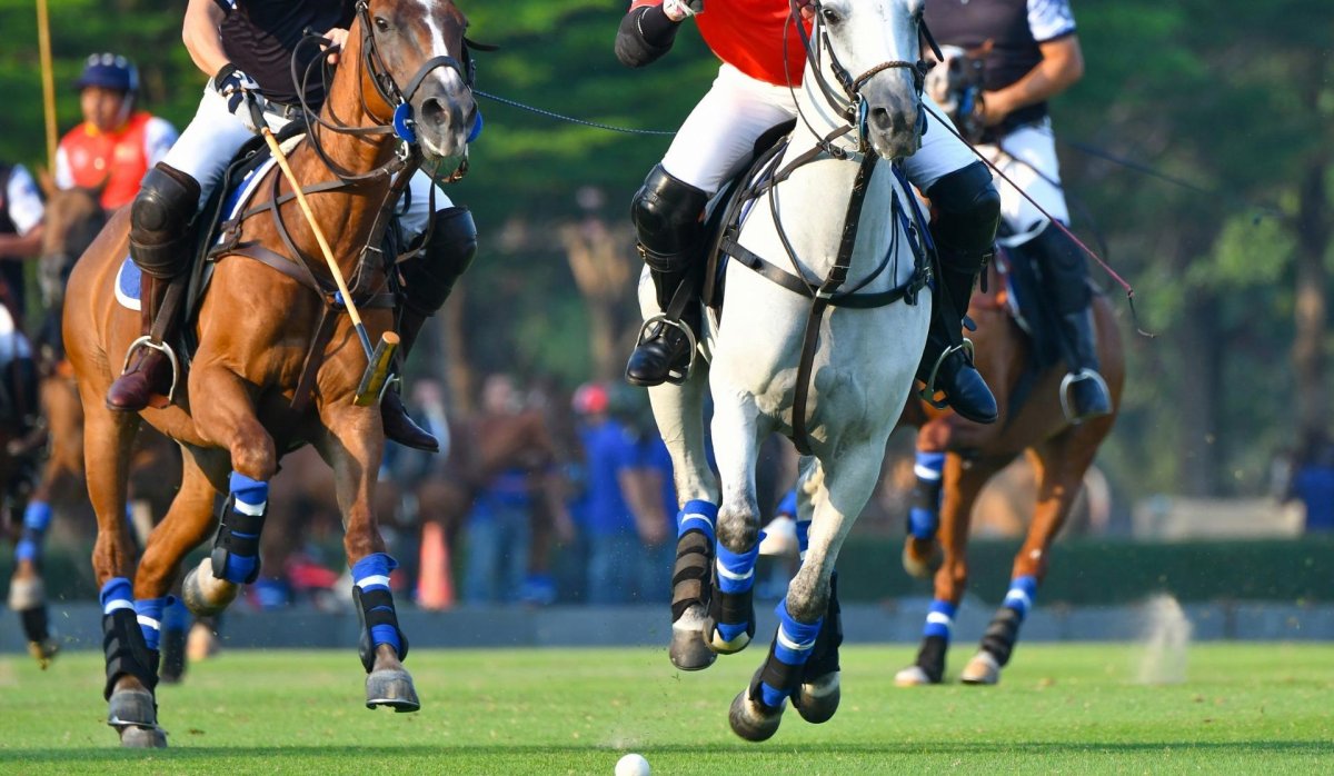 Новое здание - Квартира / квартира - Manilva