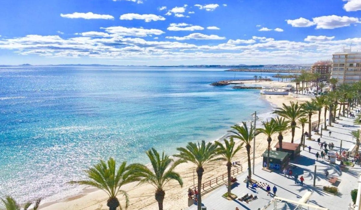 Rynek Pierwotny - Bungalow - Torrevieja