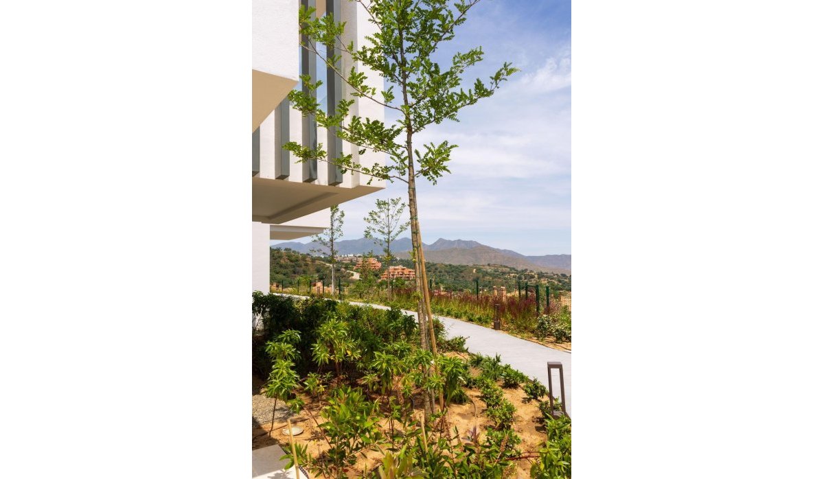 Nauja statyba - Butas / butas - 
