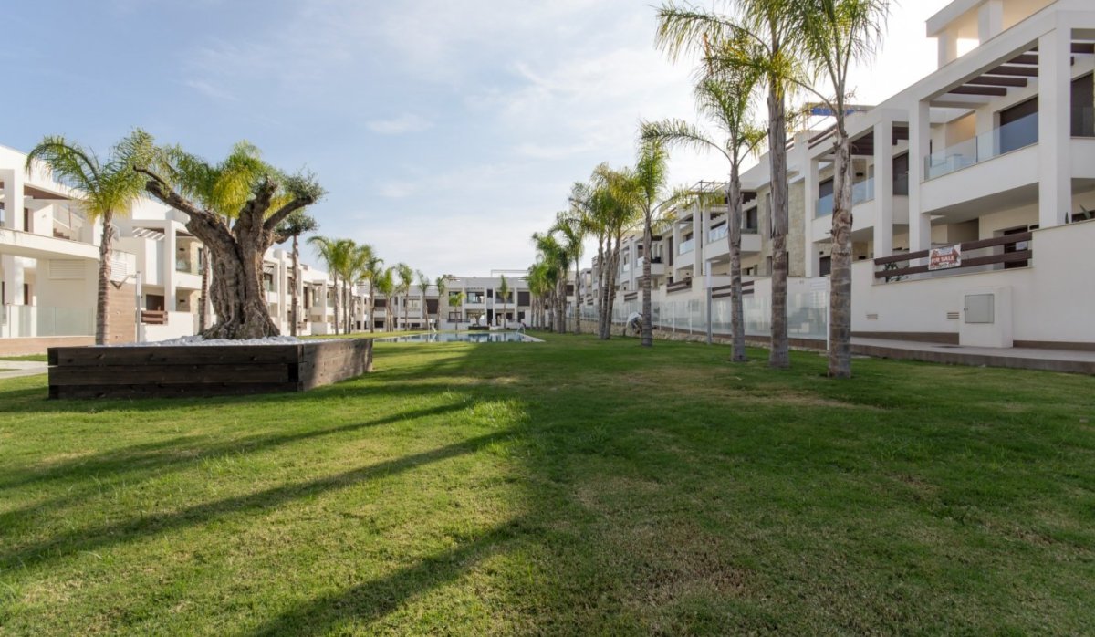 Новое здание - Бунгало - Torrevieja