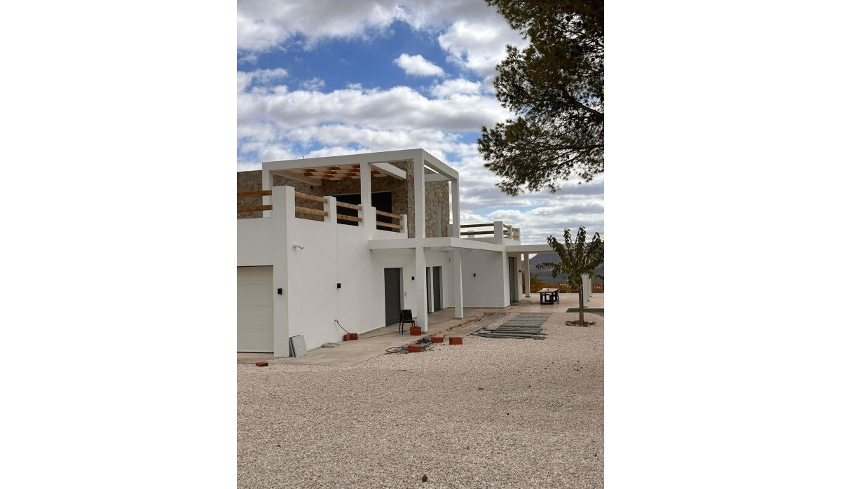 Новое здание - Villa - Pinoso