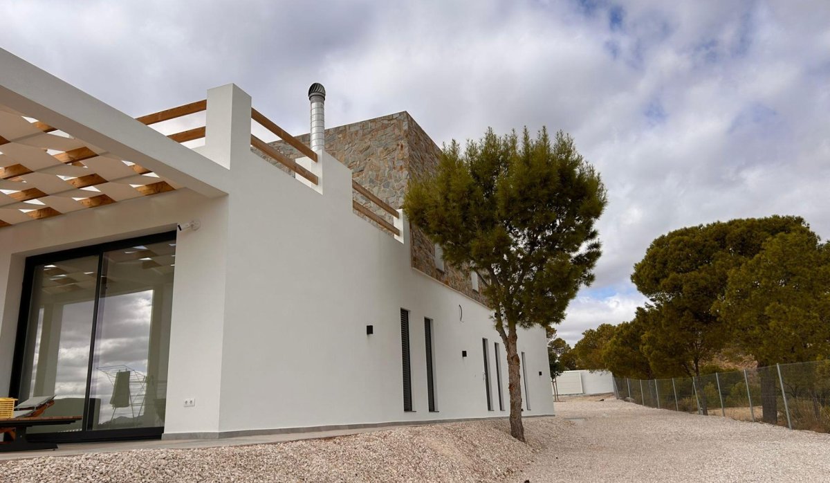 Новое здание - Villa - Pinoso