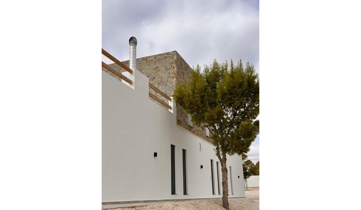 Новое здание - Villa - Pinoso