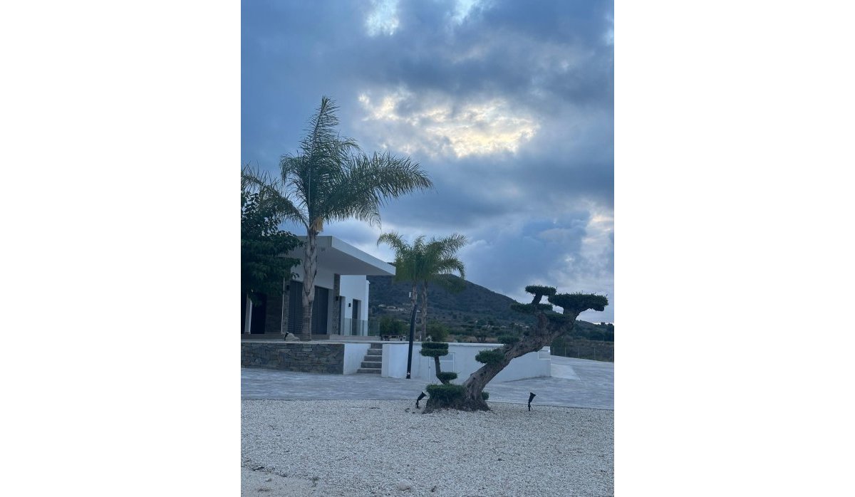 Nauja statyba - Villa - Pinoso