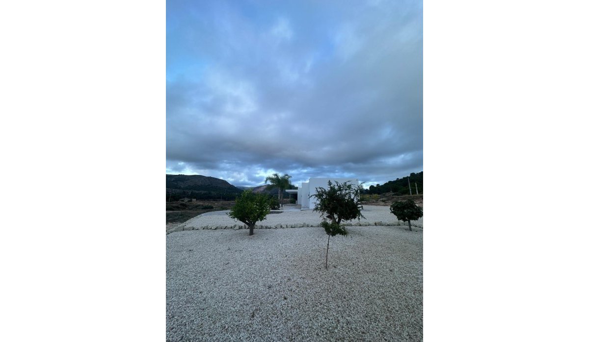 Nauja statyba - Villa - Pinoso
