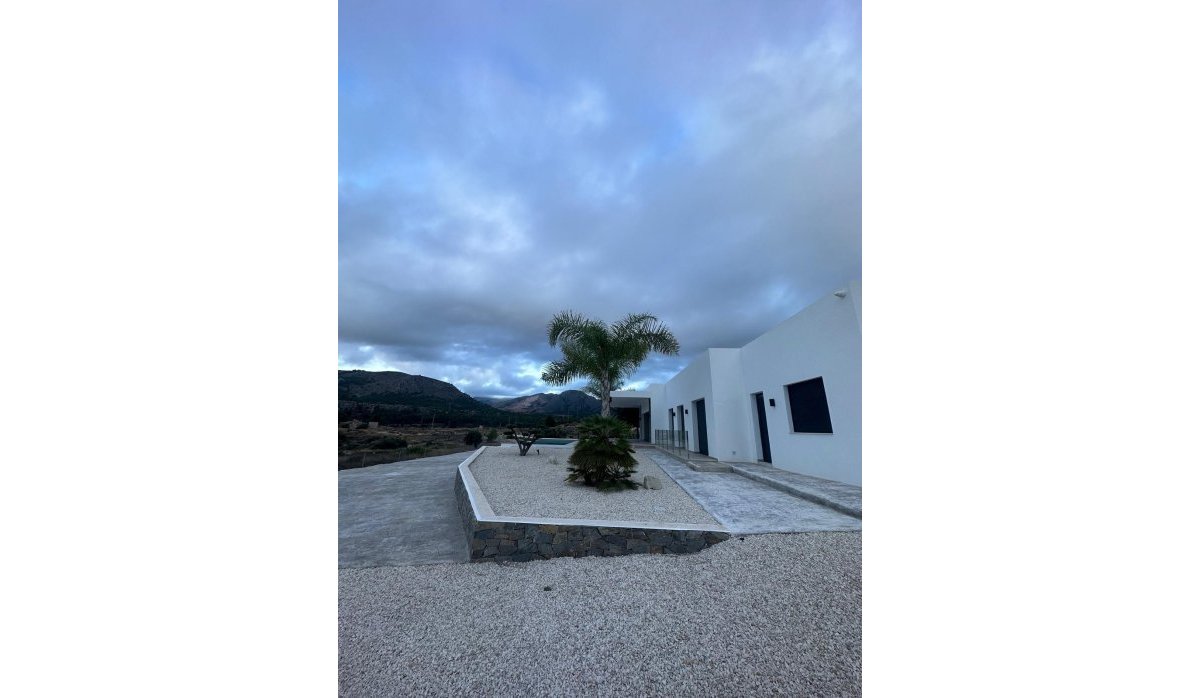 Nauja statyba - Villa - Pinoso