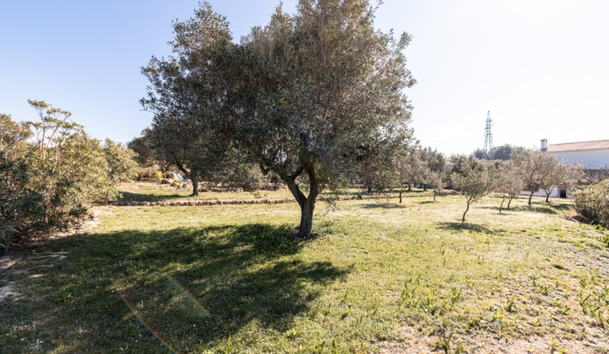 Resale - Villa - Teulada - Canor