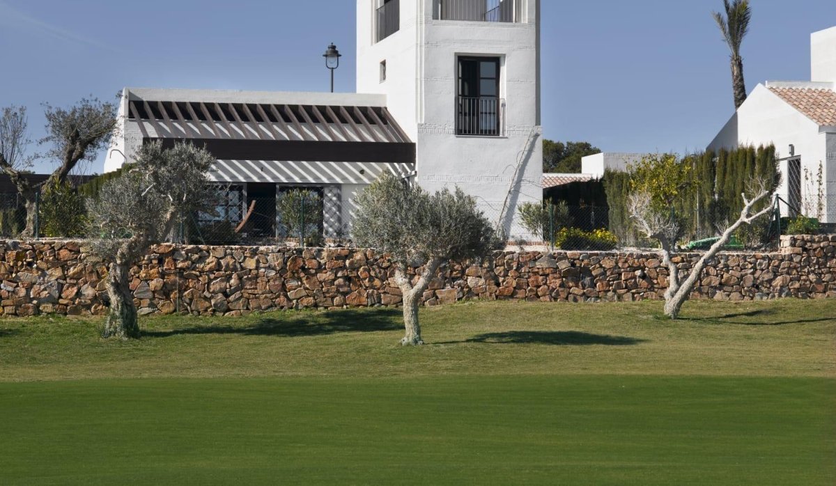 Nauja statyba - Villa - Sucina