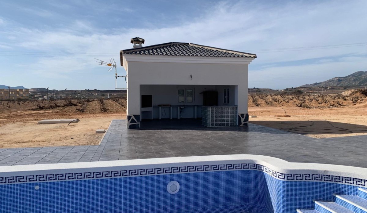 New Build - Villa - Pinoso - Camino Del Prado