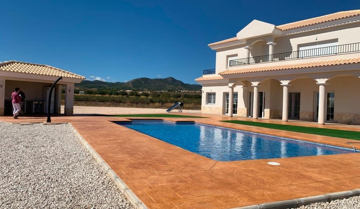 New Build - Villa - Pinoso - Camino Del Prado