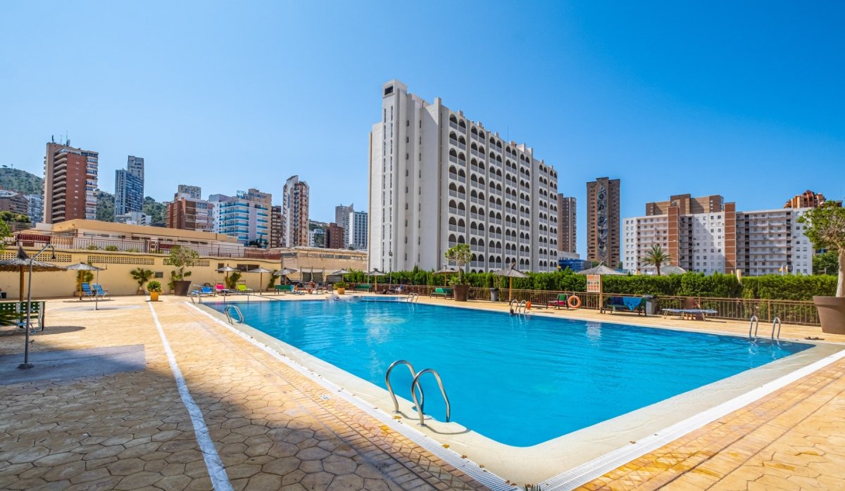 Swimming Pool - Apartment with sea views and tourist license in Benidorm - Levante (Costa Blanca - Alicante)