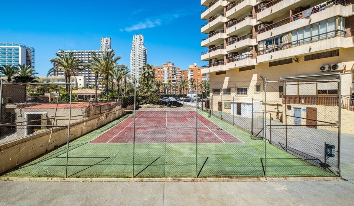 Padel court - Apartment with sea views and tourist license in Benidorm - Levante (Costa Blanca - Alicante)