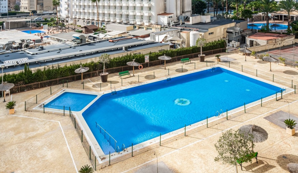 Swimming Pool - Apartment with sea views and tourist license in Benidorm - Levante (Costa Blanca - Alicante)