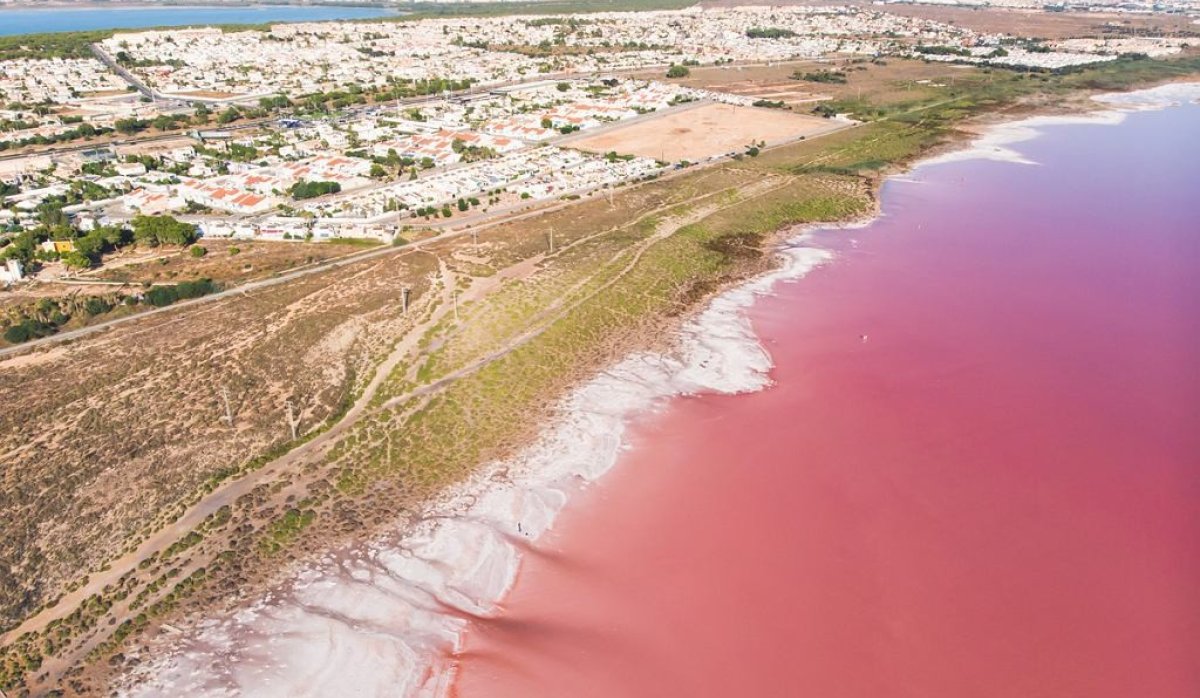 Torrevieja pink lake - Apartment with sea views in Torrevieja, Playa de los Locos (Costa Blanca - Alicante)