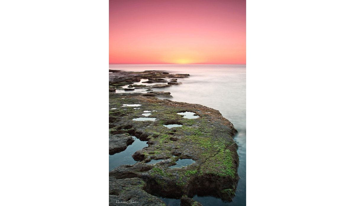 Obra nueva - Bungalow - Torrevieja