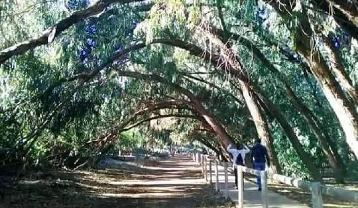 New Build - Bungalow - Torrevieja