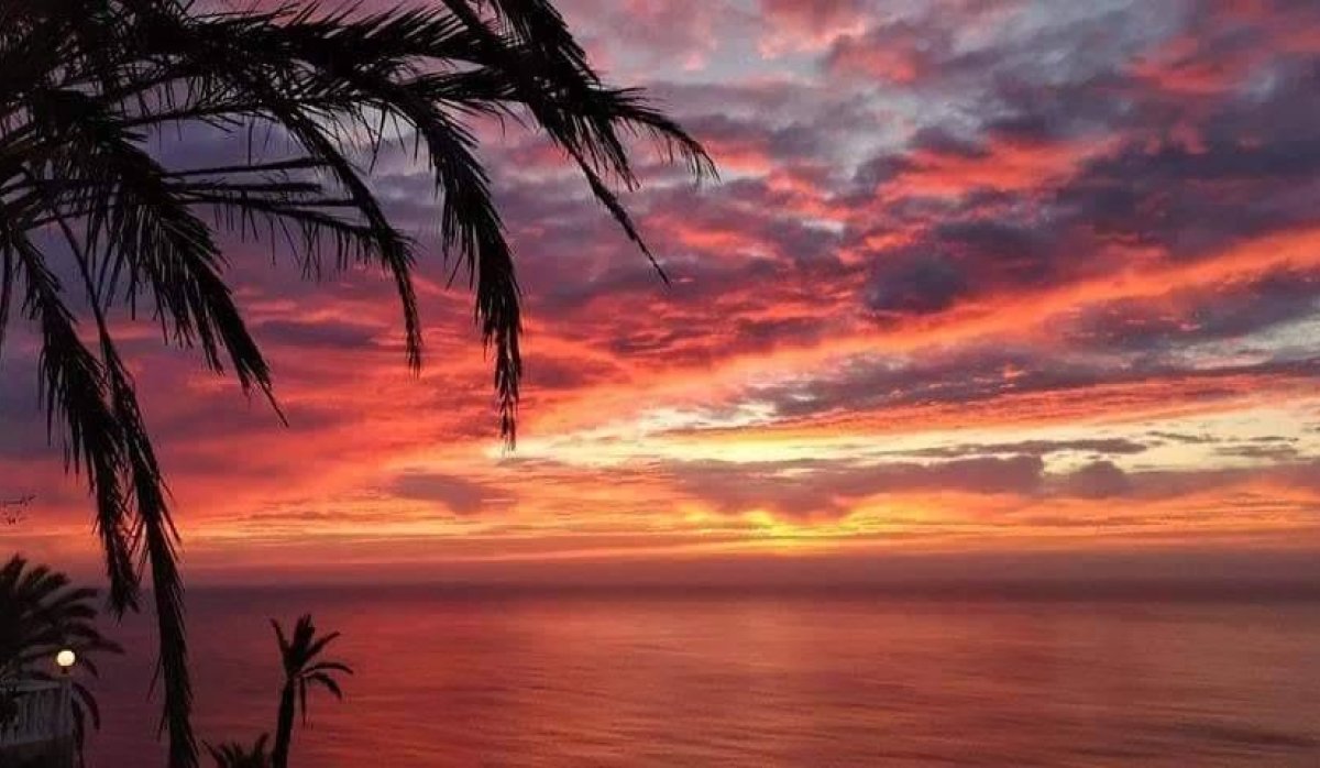 New Build - Bungalow - Torrevieja