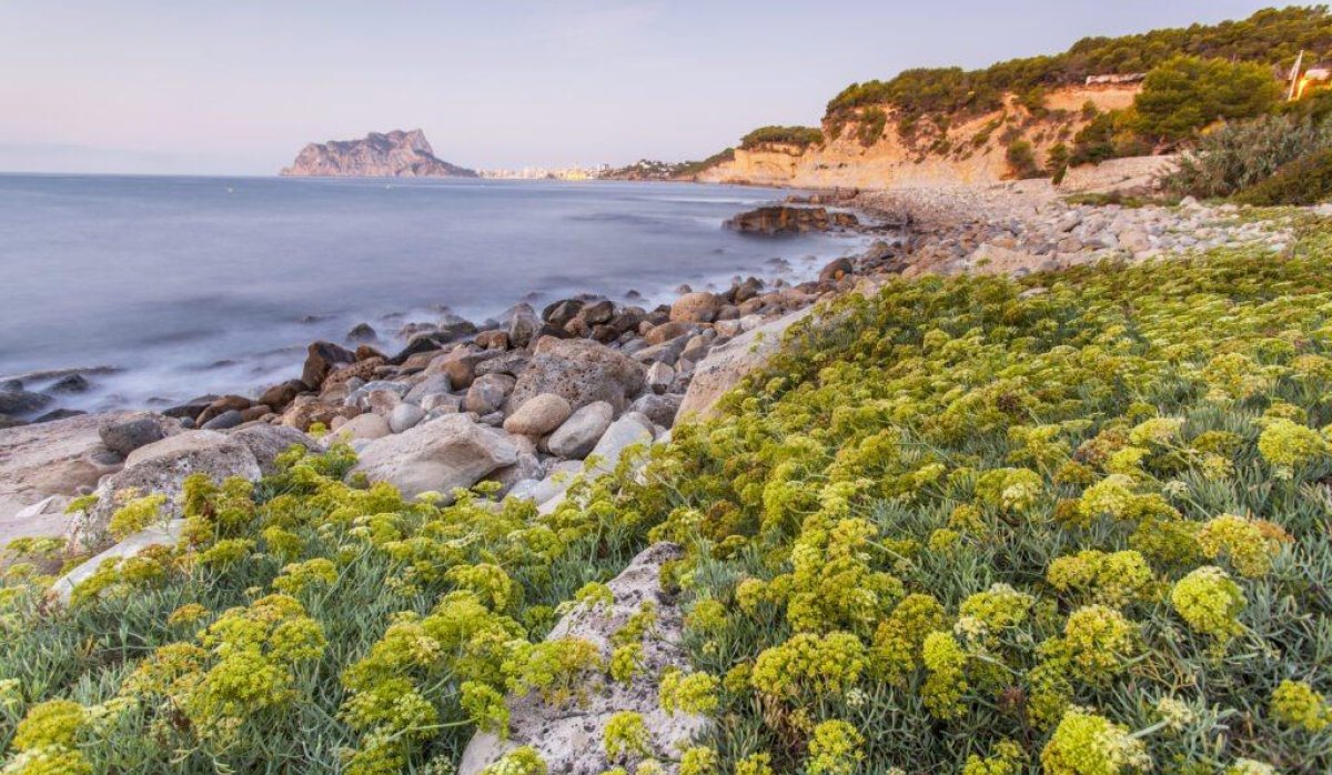 Obra nueva - Villa - Benissa