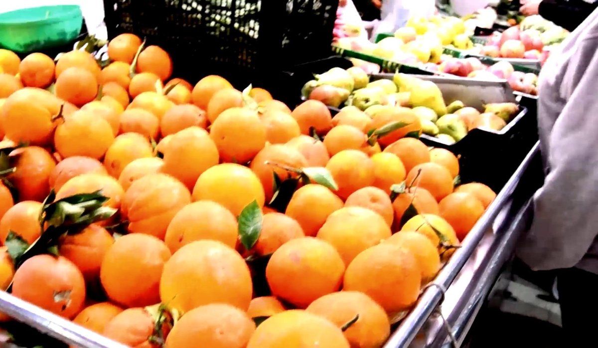 Nauja statyba - Butas / butas - Torrevieja