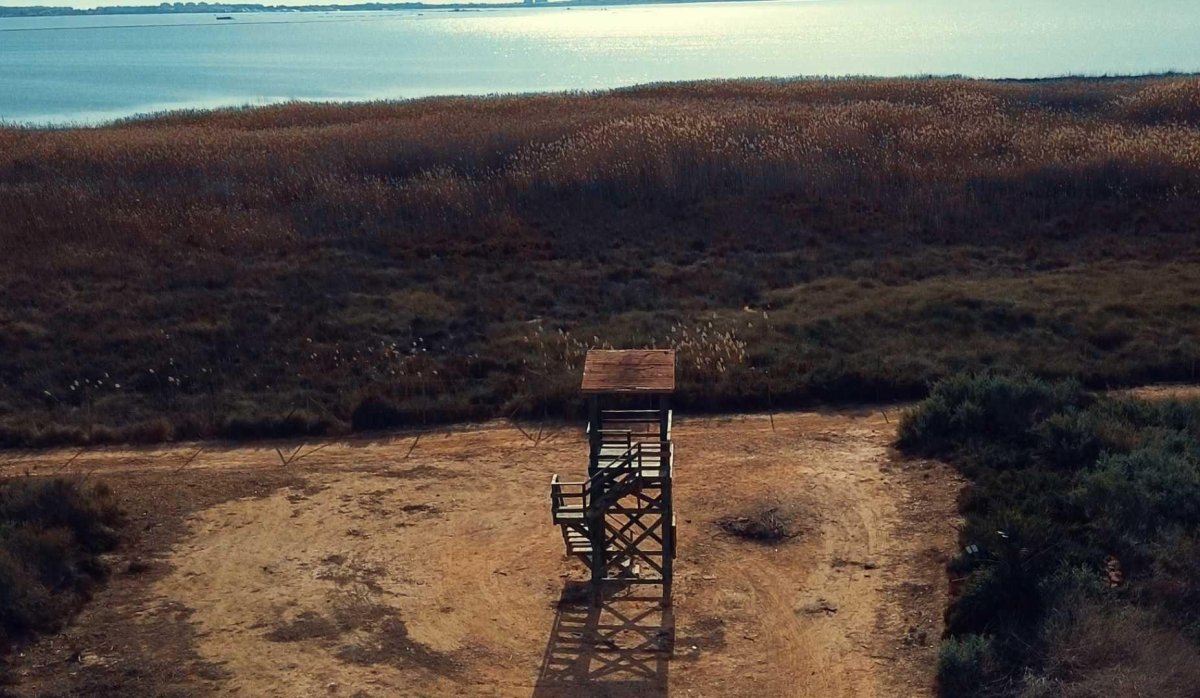 Rynek Pierwotny - Villa - Los Montesinos