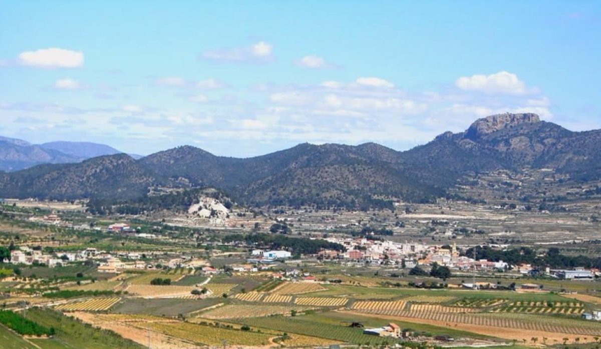 Новое здание - Villa - La Romana