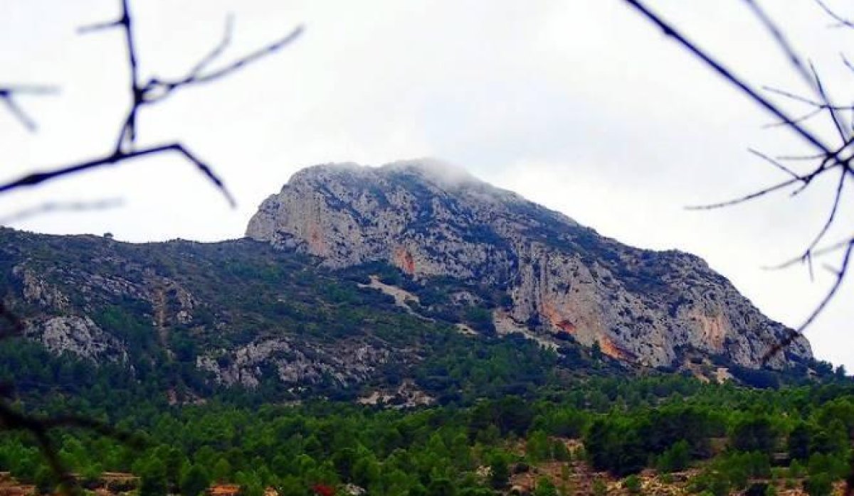 Obra nueva - Villa - La Romana