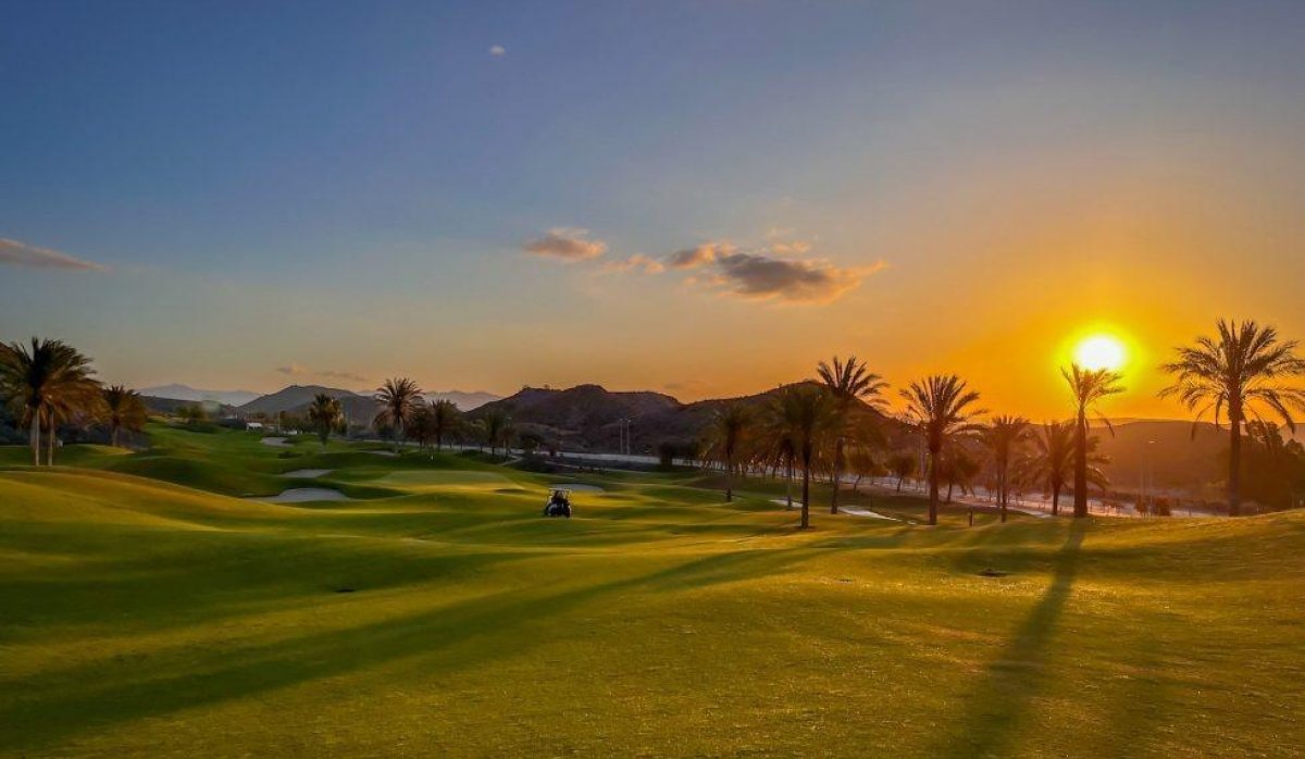 Новое здание - Квартира / квартира - Pulpi