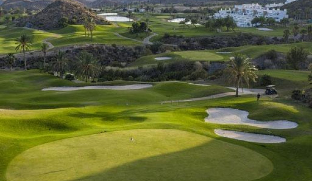 New Build - Apartment / flat - Pulpi