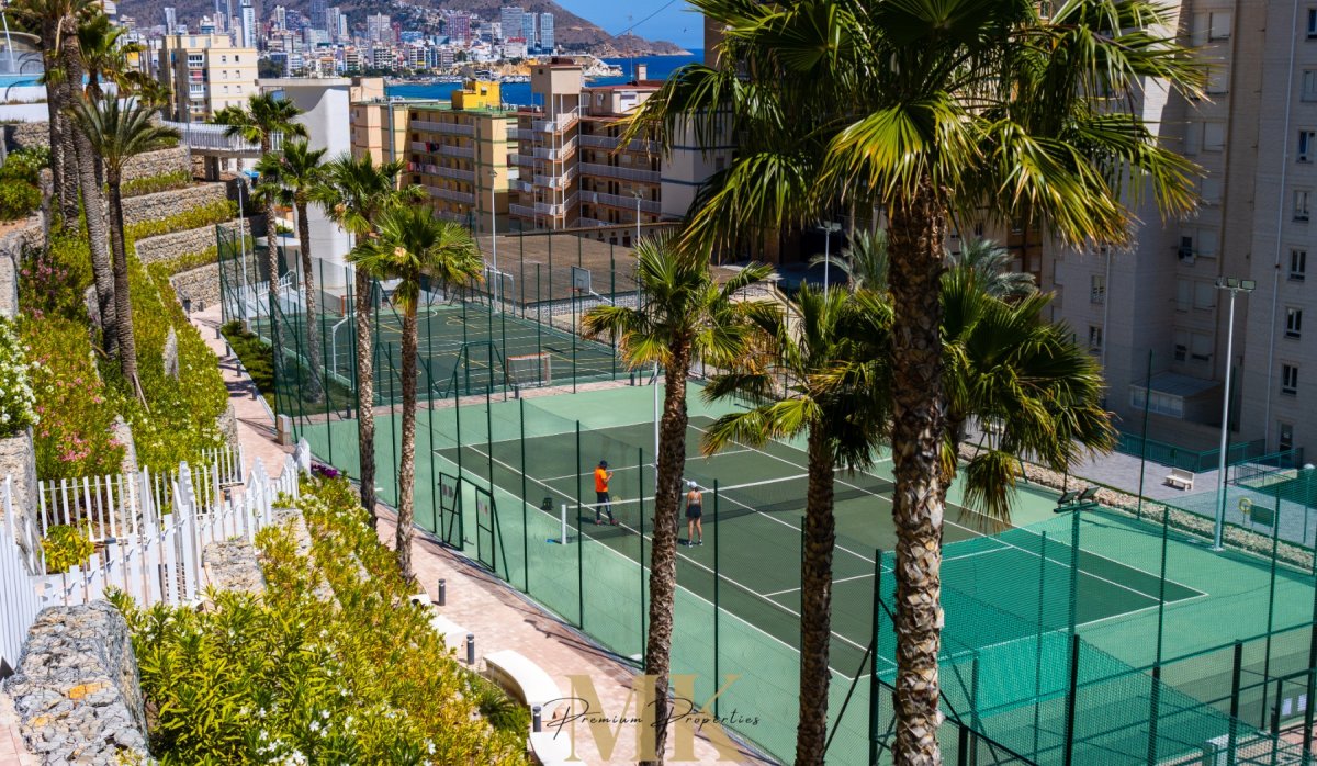 Reventa - Apartamento / piso - Benidorm - Playa Poniente