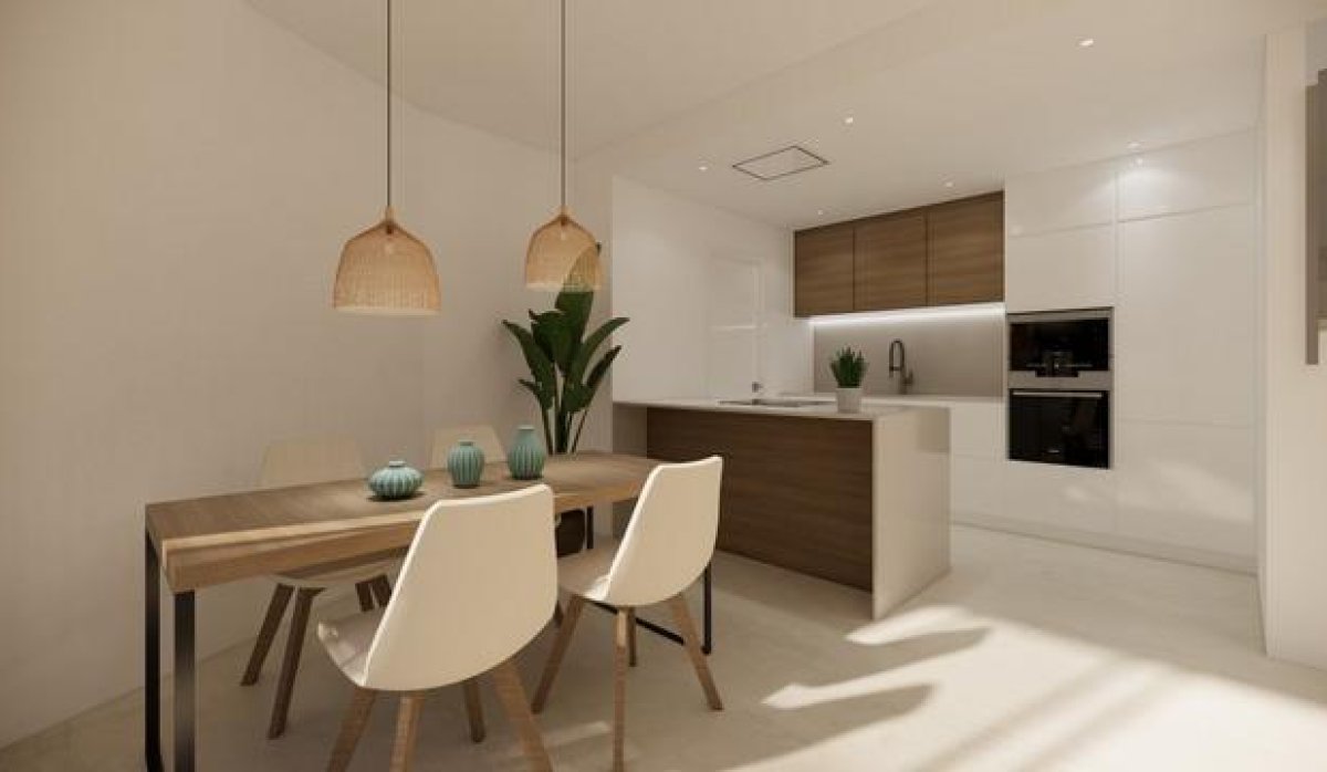 Obra nueva - Villa - San Fulgencio