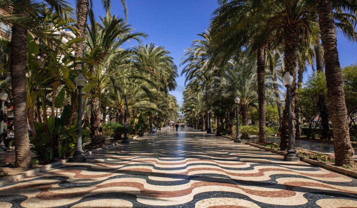 Obra nueva - Ático - Alicante