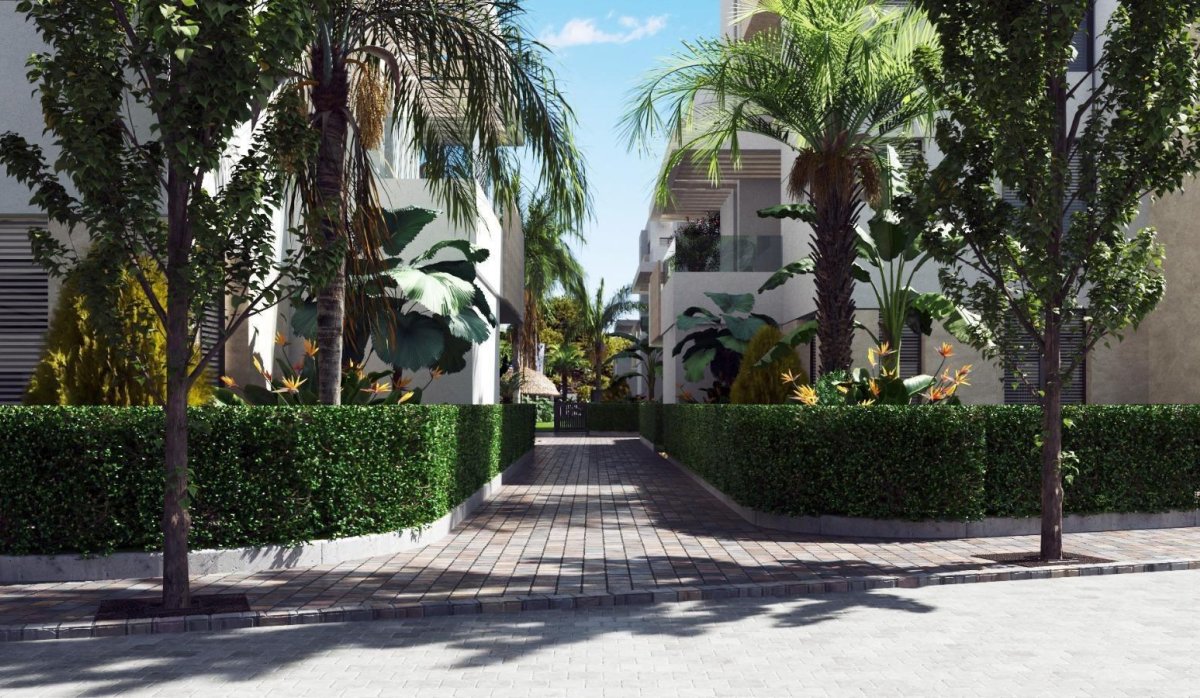 Rynek Pierwotny - Penthouse - Torre Pacheco