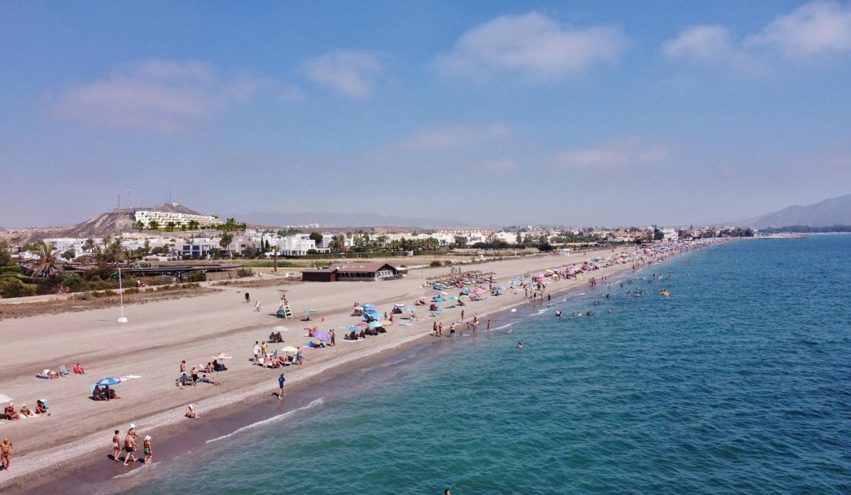 Новое здание - Пентхаус - Vera