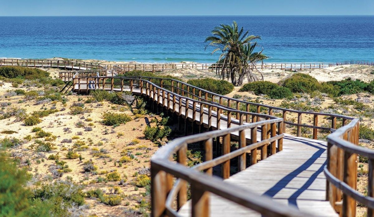 New Build - Apartment / flat - Monforte del Cid