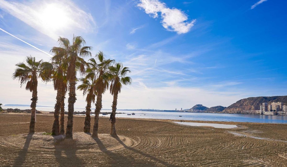 Obra nueva - Villa - Els Poblets