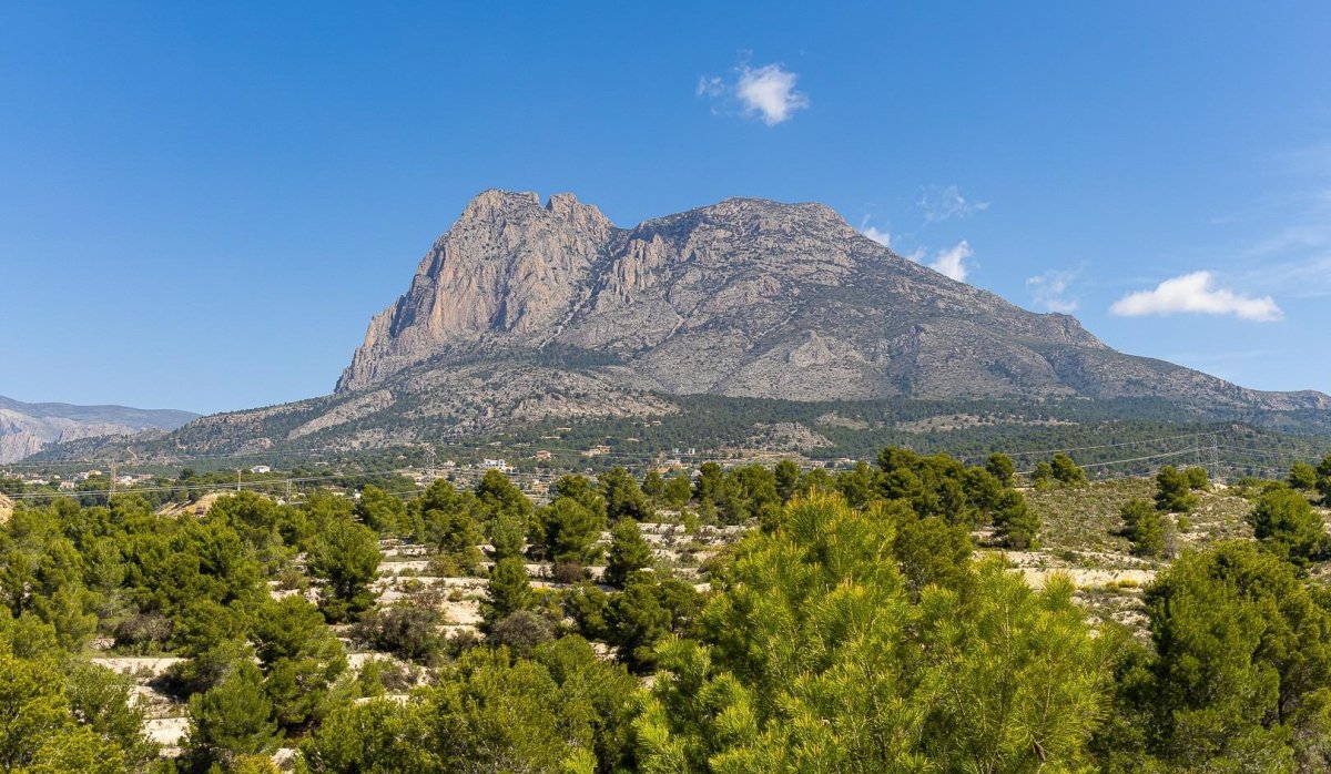 Obra nueva - Villa - Finestrat