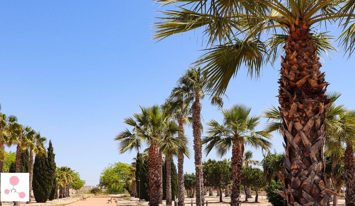 Obra nueva - Villa - San Fulgencio