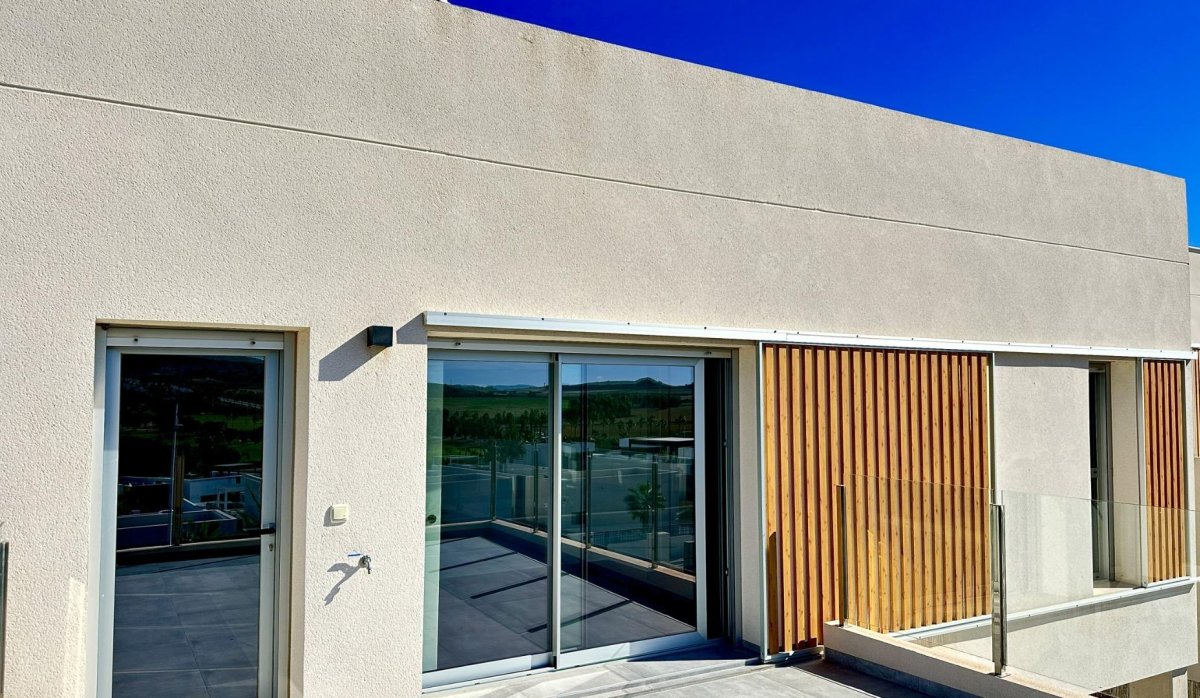 Новое здание - Villa - Algorfa