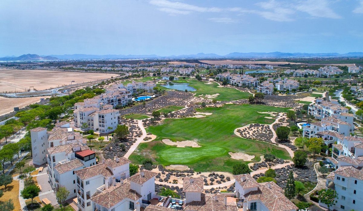 Новое здание - Semidetached - Sucina