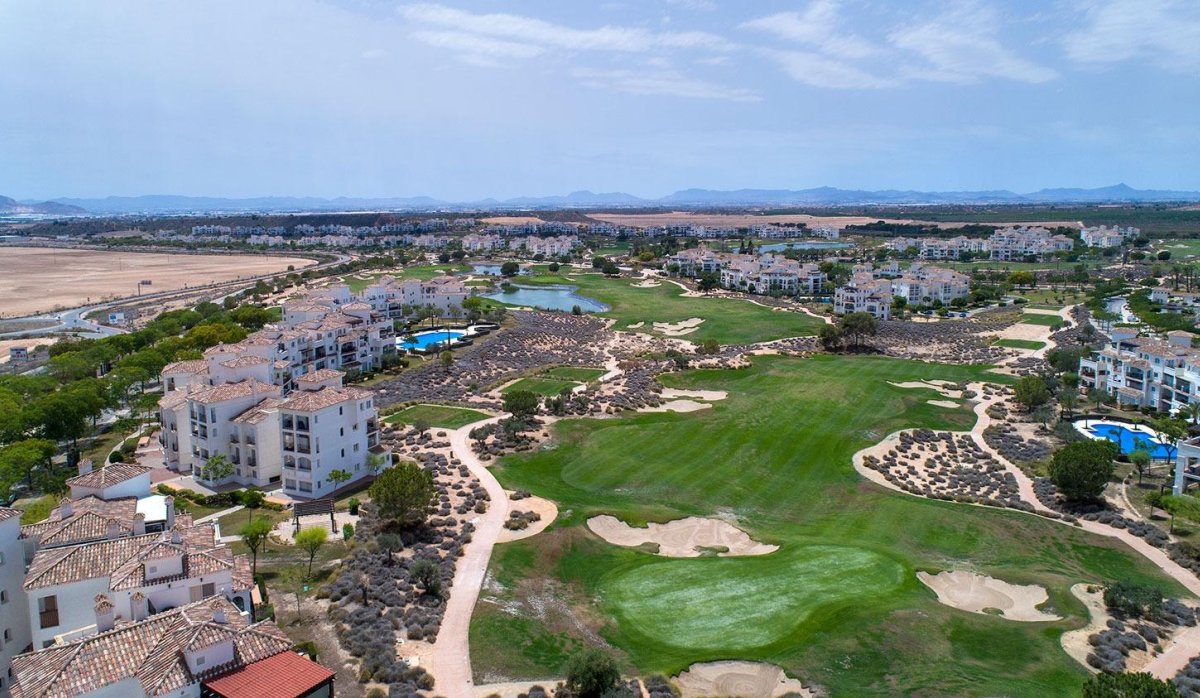 Новое здание - Semidetached - Sucina