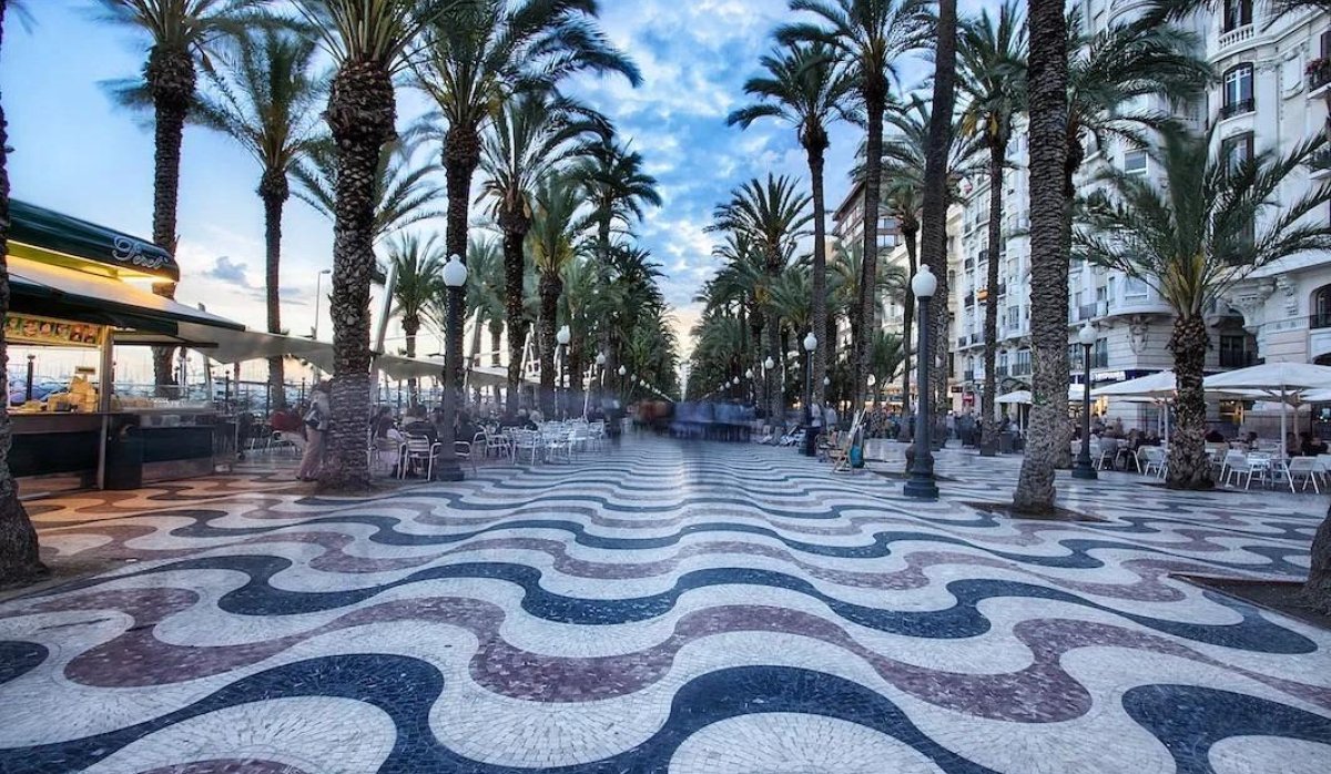 Rynek Pierwotny - Mieszkanie w bloku - Alicante