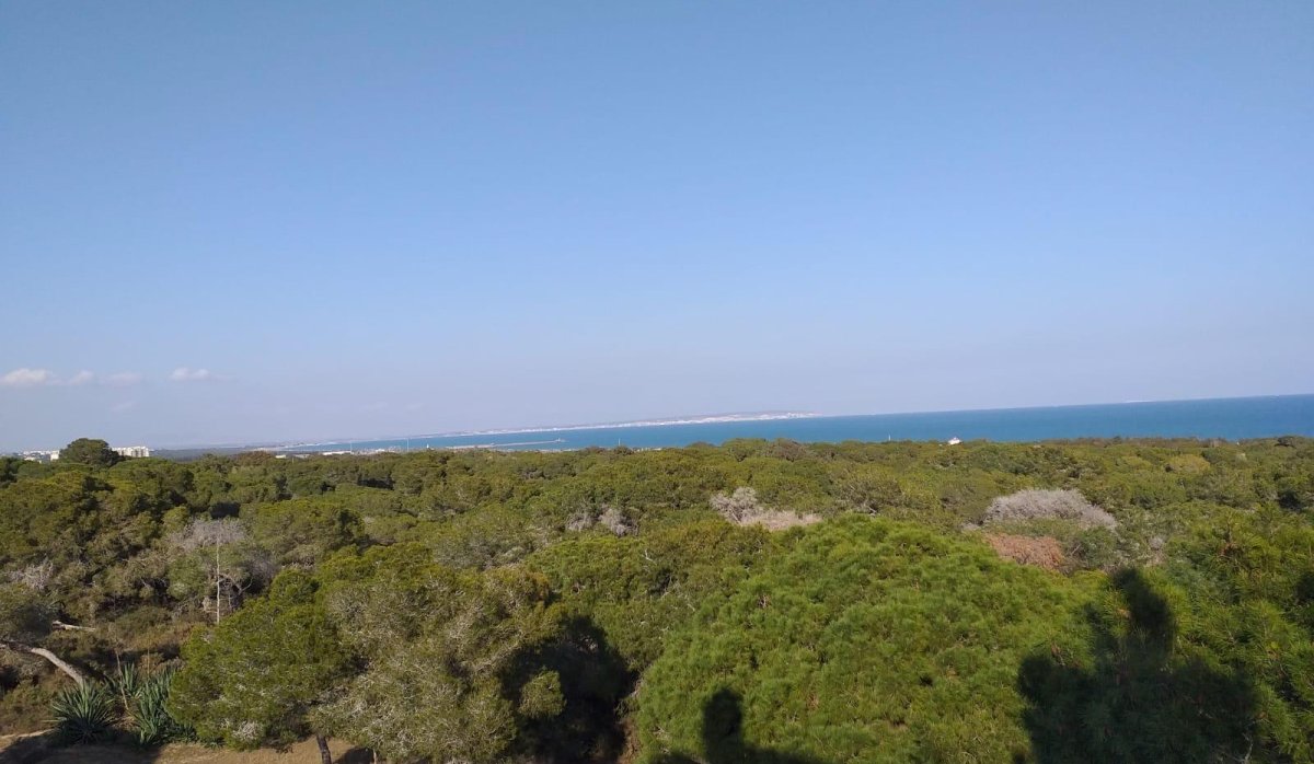 New Build - Penthouse - Guardamar del Segura