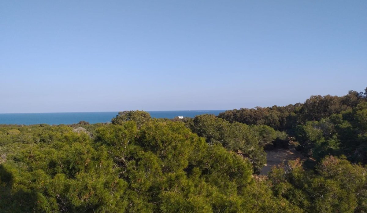 New Build - Penthouse - Guardamar del Segura