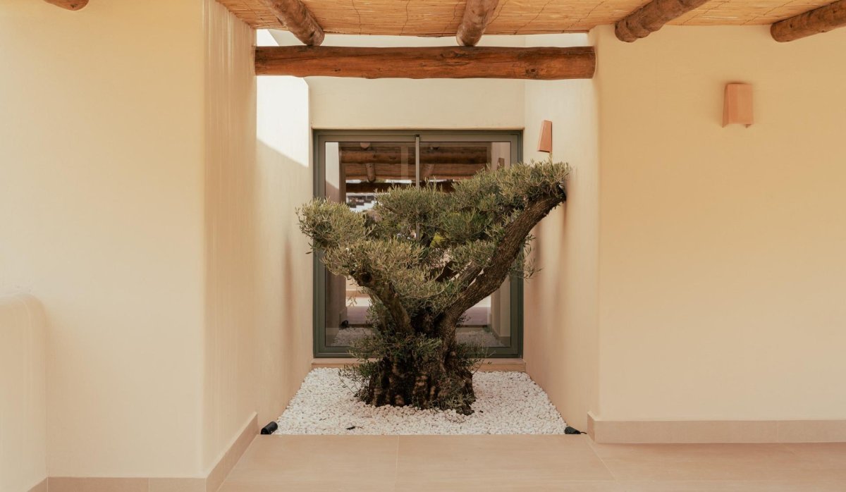 New Build - Villa - Jávea Xàbia