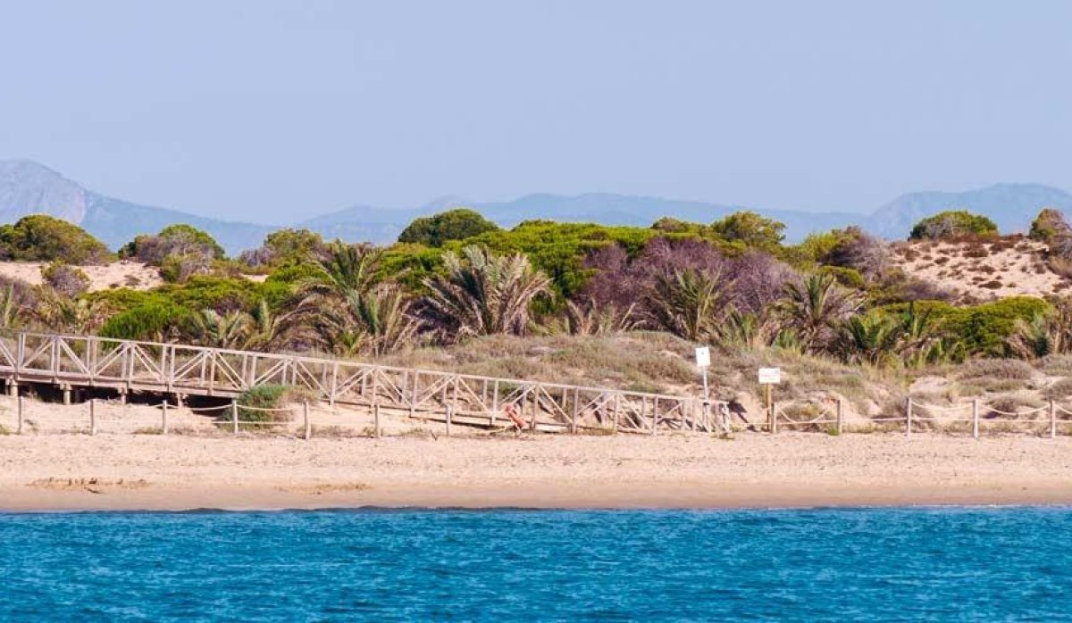 Nauja statyba - Penthausas - Guardamar del Segura