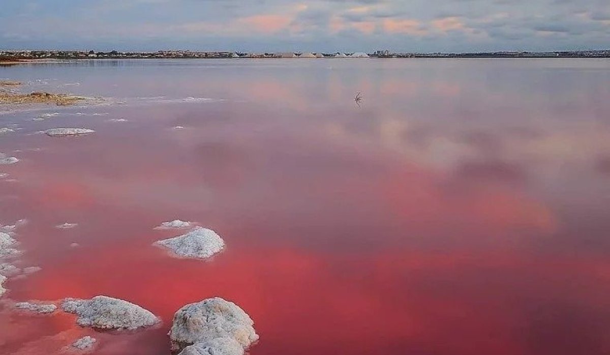 New Build - Bungalow - Torrevieja